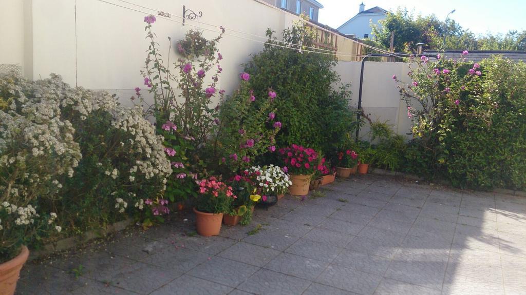Seashore Lodge Guesthouse Galway Rom bilde